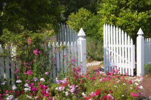 Extended Picket Fences